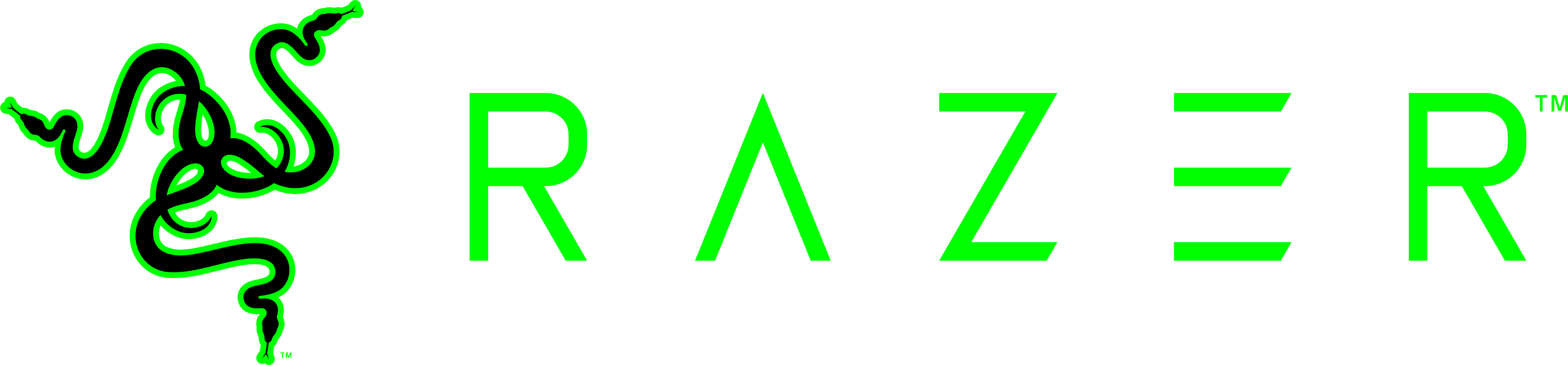 Our Partner - Razer Logo